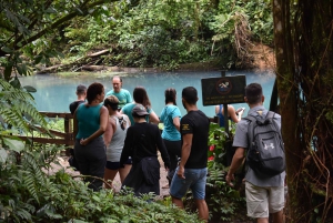 La Fortuna: escursione sul Rio Celeste e fattoria Don Alexis