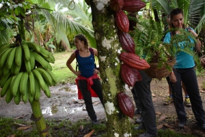 La Fortuna: escursione sul Rio Celeste e fattoria Don Alexis