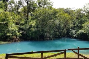 La Fortuna: Tour della cascata di Rio Celeste e del Parco Nazionale