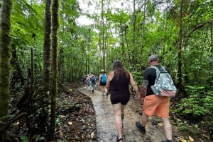 La Fortuna: Tour della cascata di Rio Celeste e del Parco Nazionale