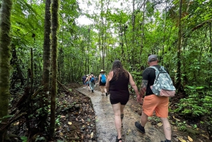 La Fortuna: Tour della cascata di Rio Celeste e del Parco Nazionale