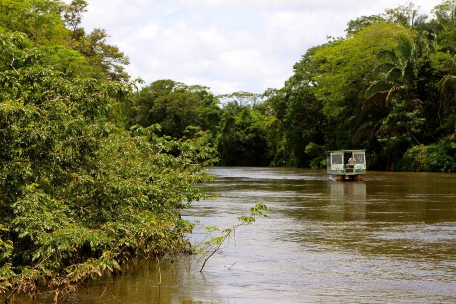 La Fortuna : Safari en bateau sur le Rio Penas Blancas