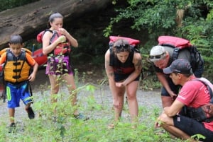 La Fortuna : Flottement dans la jungle de la rivière Sarapiqui