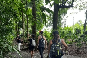 La Fortuna: Caminhada pela natureza com preguiças e vida selvagem