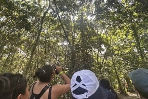 La Fortuna: Caminhada pela natureza com preguiças e vida selvagem