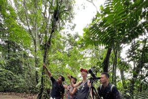 La Fortuna: Caminhada pela natureza com preguiças e vida selvagem