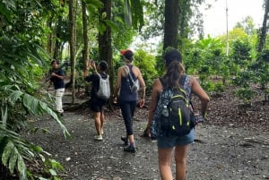La Fortuna: Caminhada pela natureza com preguiças e vida selvagem