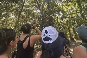 La Fortuna: Caminhada pela natureza com preguiças e vida selvagem