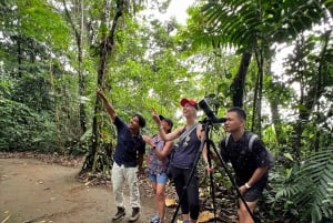 La Fortuna: Caminhada pela natureza com preguiças e vida selvagem