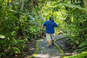 La Fortuna: Dovendyrtur i Arenal-vulkanparken og lokal snack