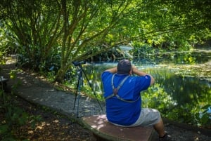 La Fortuna: Wycieczka z leniwcem w parku wulkanu Arenal i lokalna przekąska