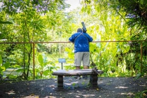 La Fortuna: Dovendyrtur i Arenal-vulkanparken og lokal snack