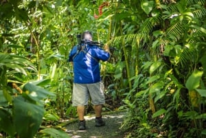 La Fortuna: Sloth Tour i Arenal Volcano Park & Lokalt Snack