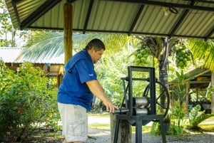 La Fortuna: Dovendyrtur i Arenal-vulkanparken og lokal snack