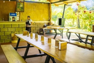 La Fortuna: Tour dei bradipi nel parco del vulcano Arenal e spuntino locale