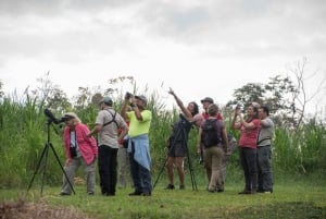 La Fortuna: luiaardtocht in het wild