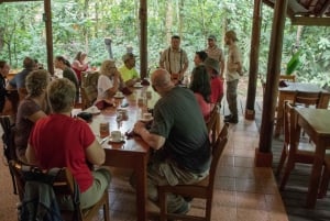 Ab La Fortuna: Faultier-Tour im Dschungel