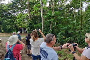 La Fortuna: passeio de observação de preguiças com o Conservatório de Borboletas