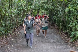 La Fortuna: Excursão de observação de preguiças