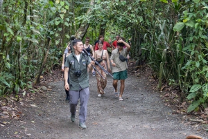 La Fortuna: Fortuna Fortuna: Sloth Watching Tour