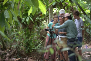 La Fortuna: Laiskiaisten ja villieläinten luontokävely