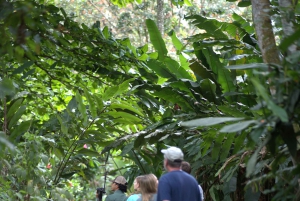 La Fortuna: Laiskiaisten ja villieläinten luontokävely