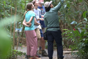 La Fortuna: Laiskiaisten ja villieläinten luontokävely