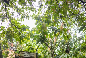 La Fortuna: Dovendyr og kaffe, sjokolade og sukkerrør