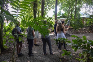 La Fortuna: Dovendyr og kaffe, sjokolade og sukkerrør