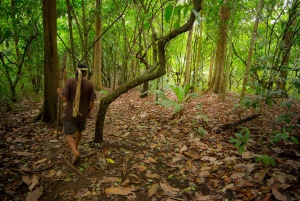 La Fortuna: Besuch des Maleku-Indigenen-Reservats in kleiner Gruppe
