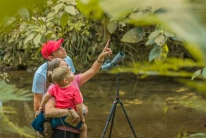 La Fortuna: Small-Group Sloth Watching Experience