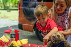 La Fortuna: Small-Group Sloth Watching Experience