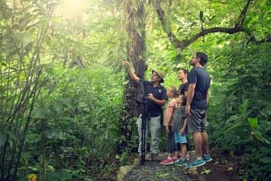 La Fortuna: Small-Group Sloth Watching Experience