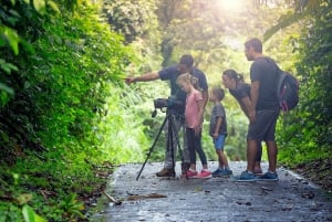 La Fortuna: Small-Group Sloth Watching Experience