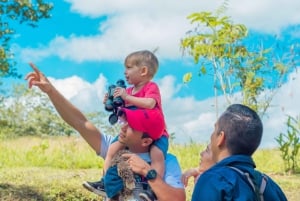 La Fortuna: Small-Group Sloth Watching Experience