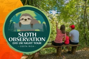 La Fortuna: Small-Group Sloth Watching Experience