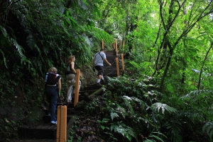 La Fortuna: Small Group Waterfall Hike