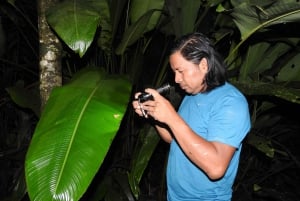 La Fortuna: Symphony of the Rainforest Best Night Expedition