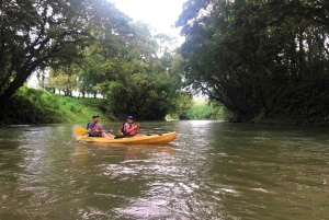 La Fortuna: *TOPP* Safari-opplevelse med kajakk