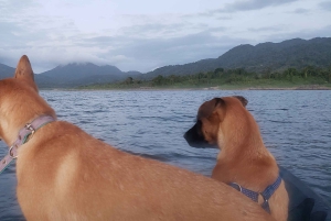 La Fortuna: *TOPP* Safari-opplevelse med kajakk