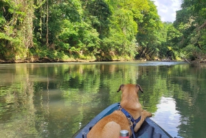La Fortuna: *TOP* Wildlife Safari Float Experience by Raft