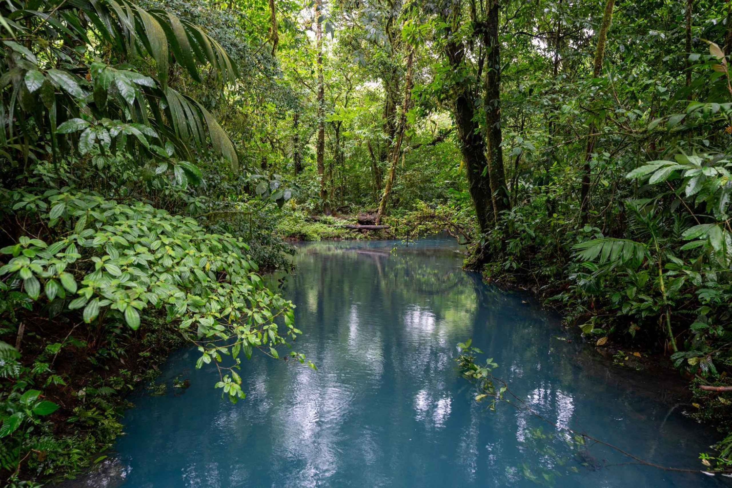 ラ フォルトゥーナ タウン: リオ セレステとテノリオ国立公園ツアー