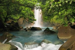 Ville de La Fortuna : Circuit du Rio Celeste et du parc national de Tenorio