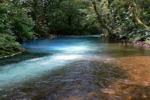 Ville de La Fortuna : Circuit du Rio Celeste et du parc national de Tenorio