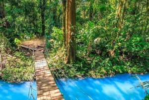 Ville de La Fortuna : Circuit du Rio Celeste et du parc national de Tenorio