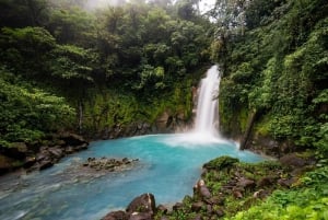 Ville de La Fortuna : Circuit du Rio Celeste et du parc national de Tenorio