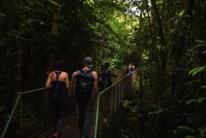Città di La Fortuna: Tour del Rio Celeste e del Parco Nazionale Tenorio
