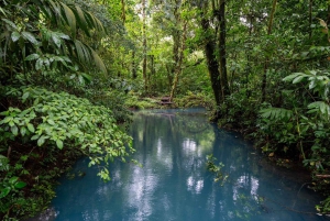 ラ フォルトゥーナ タウン: リオ セレステとテノリオ国立公園ツアー