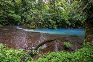 ラ フォルトゥーナ タウン: リオ セレステとテノリオ国立公園ツアー