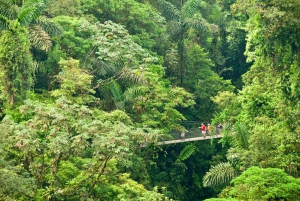 La Fortuna Waterfall: Arenal Volcano and Hanging Bridges